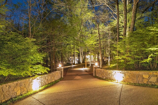 1006 Scramblers Knob, Franklin, TN 37069 - photo 98