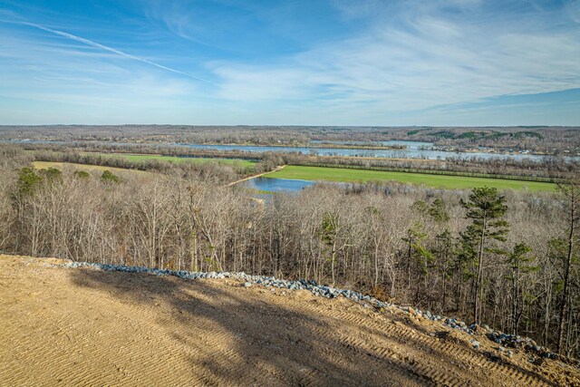 0 Ridgeway Dr, Sugar Tree, TN 38380 - photo 25