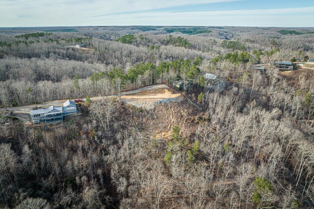 0 Ridgeway Dr, Sugar Tree, TN 38380 - photo 10