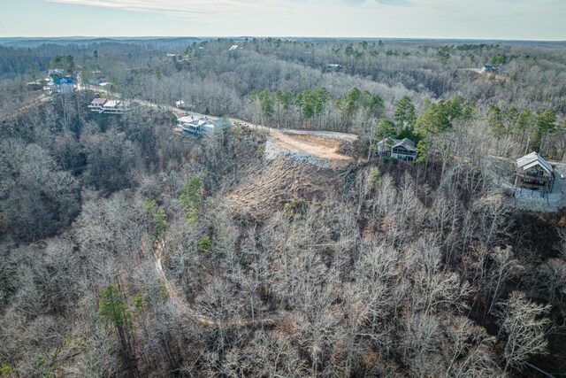 0 Ridgeway Dr, Sugar Tree, TN 38380 - photo 7
