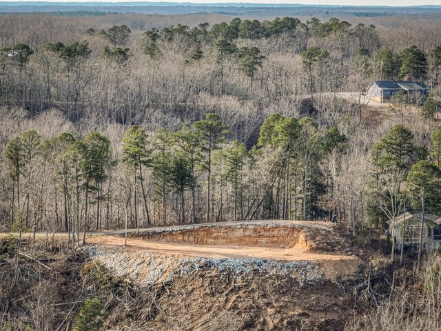 0 Ridgeway Dr, Sugar Tree, TN 38380 - photo 8