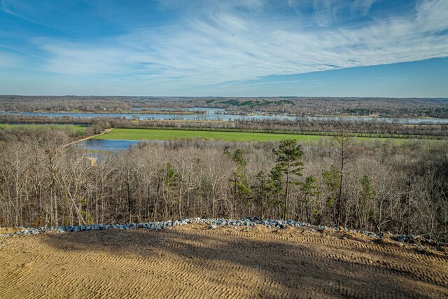 0 Ridgeway Dr, Sugar Tree, TN 38380 - photo 2