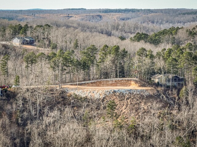 0 Ridgeway Dr, Sugar Tree, TN 38380 - photo 9