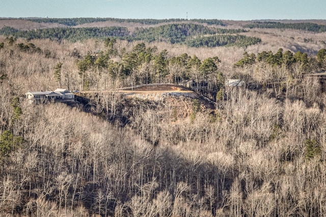 0 Ridgeway Dr, Sugar Tree, TN 38380 - photo 26