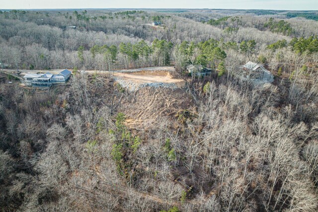 0 Ridgeway Dr, Sugar Tree, TN 38380 - photo 6