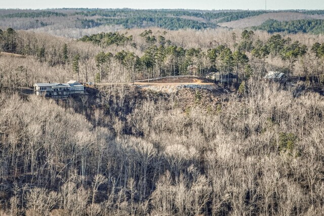 0 Ridgeway Dr, Sugar Tree, TN 38380 - photo 11
