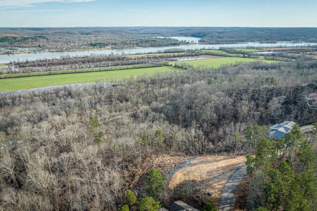 0 Ridgeway Dr, Sugar Tree, TN 38380 - photo 16