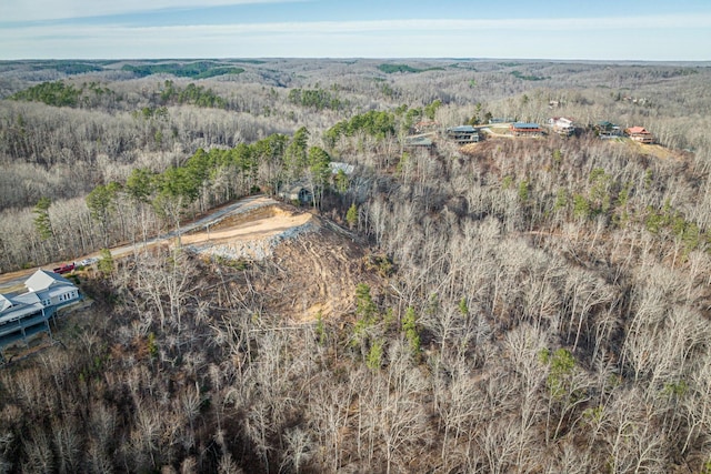 0 Ridgeway Dr, Sugar Tree, TN 38380 - photo 12