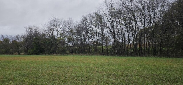 0 Hills Trace Rd, Morrison, TN 37357 - photo 5