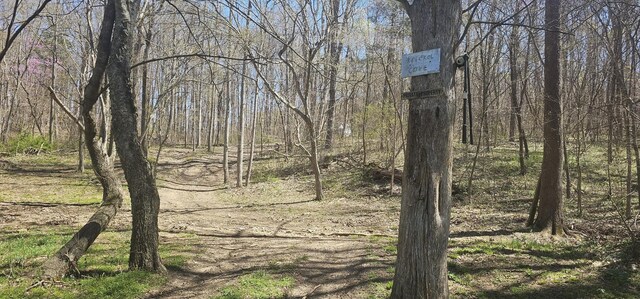 0 Hills Trace Rd, Morrison, TN 37357 - photo 7