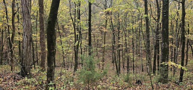 0 Hills Trace Rd, Morrison, TN 37357 - photo 13
