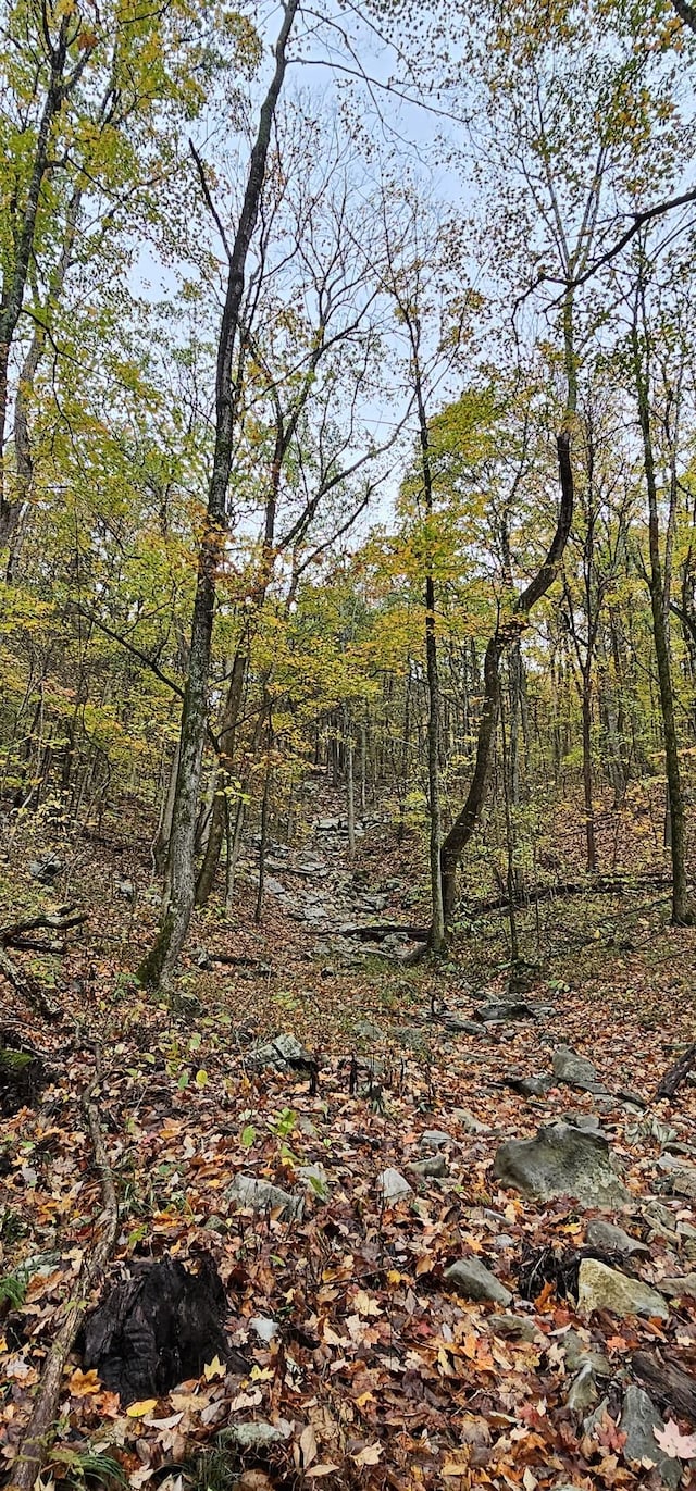 0 Hills Trace Rd, Morrison, TN 37357 - photo 14