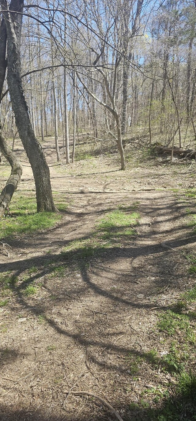 0 Hills Trace Rd, Morrison, TN 37357 - photo 8
