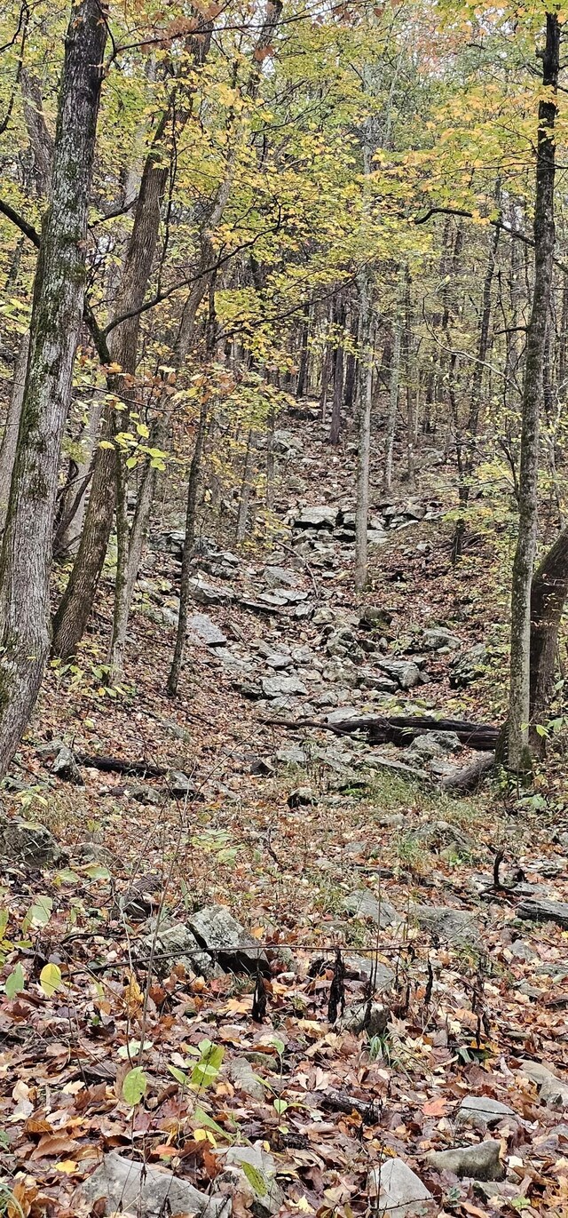 0 Hills Trace Rd, Morrison, TN 37357 - photo 17