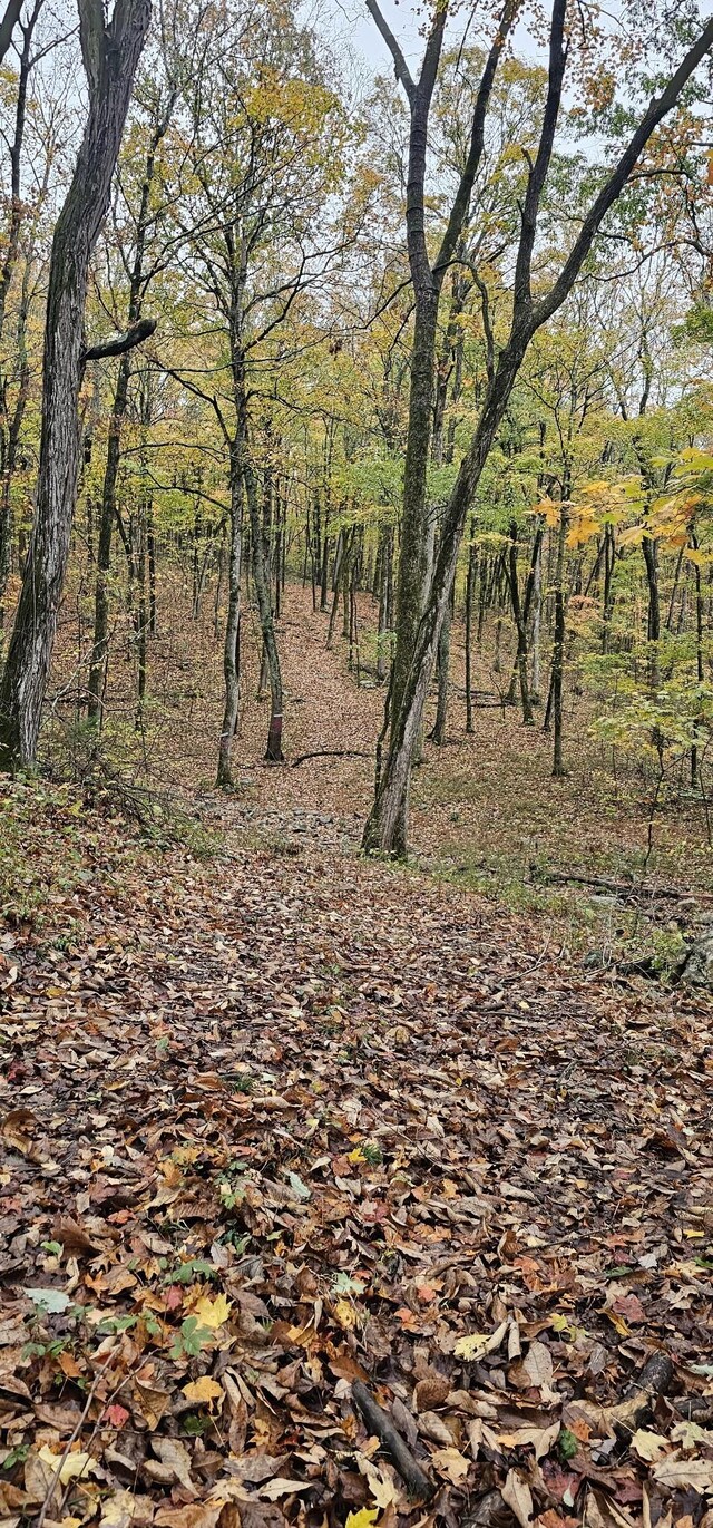 0 Hills Trace Rd, Morrison, TN 37357 - photo 18