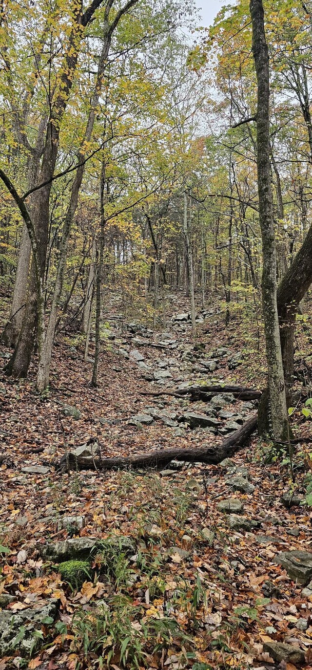 0 Hills Trace Rd, Morrison, TN 37357 - photo 12