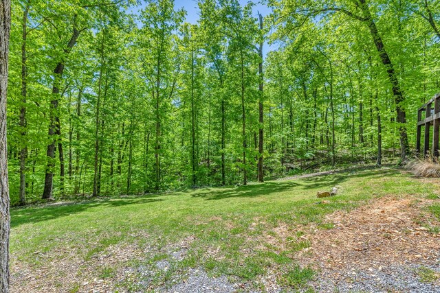 420 Holiday Haven Dr, Smithville, TN 37166 - photo 14