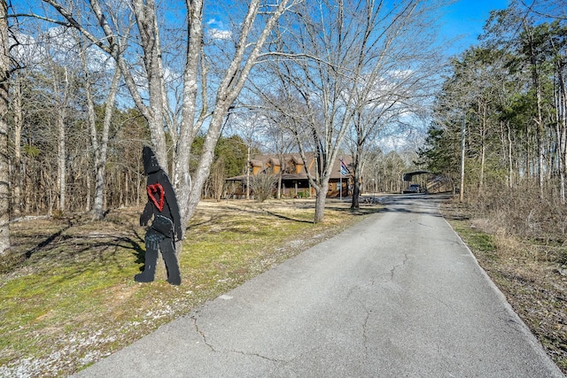 8956 Rocky Fork Almaville Rd, Smyrna, TN 37167 - photo 59