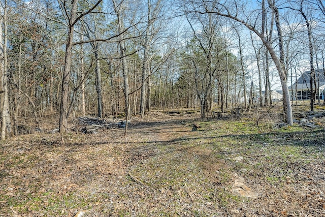 8956 Rocky Fork Almaville Rd, Smyrna, TN 37167 - photo 57