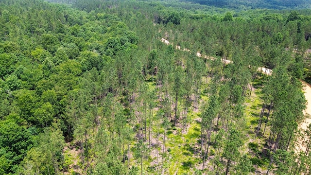 0 Salem Rd, Centerville, TN 37033