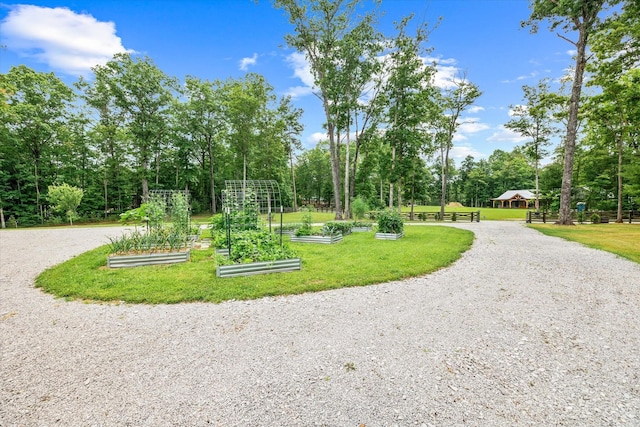 634 Cowboy Way, Jamestown, TN 38556 - view of property's community with a garden, a yard, curved driveway, and view of scattered trees
