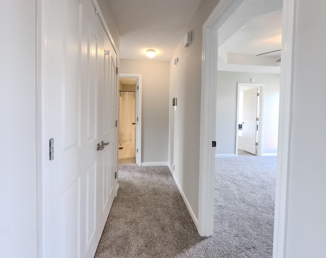3785 Naples Ct N, Clarksville, TN 37040 - photo 13