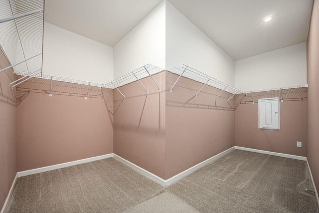 810 Corlew St, Murfreesboro, TN 37130 - spacious closet featuring carpet floors