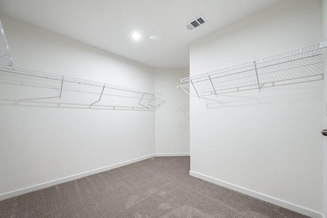 810 Corlew St, Murfreesboro, TN 37130 - spacious closet featuring carpet floors