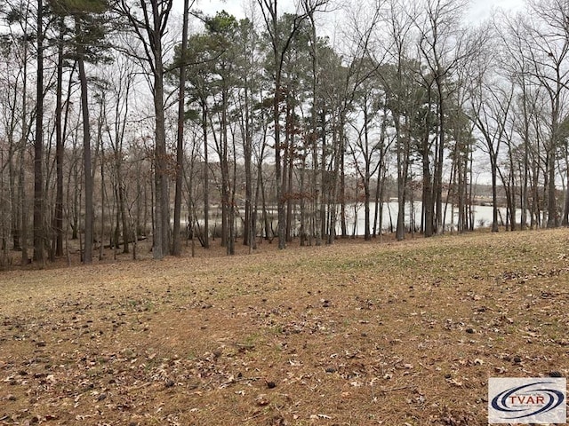0 Catfish Dr, Buchanan, TN 38222 - photo 1