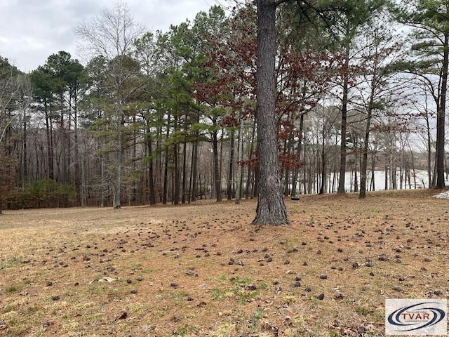 0 Catfish Dr, Buchanan, TN 38222 - photo 6