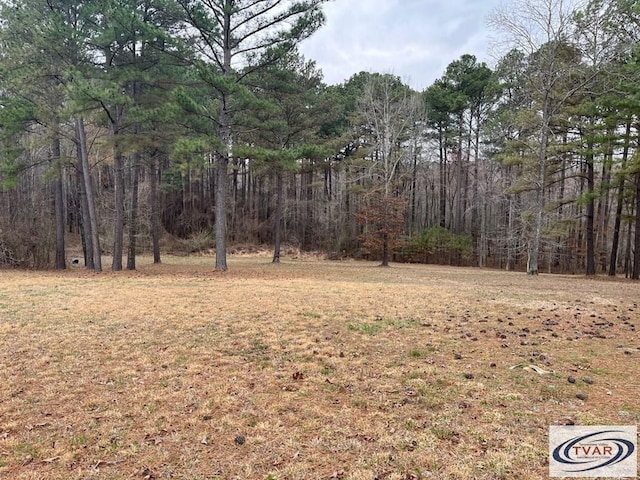 0 Catfish Dr, Buchanan, TN 38222 - photo 5