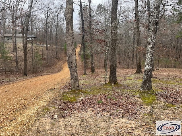 0 Catfish Dr, Buchanan, TN 38222 - photo 4