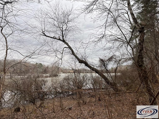 0 Catfish Dr, Buchanan, TN 38222 - photo 8
