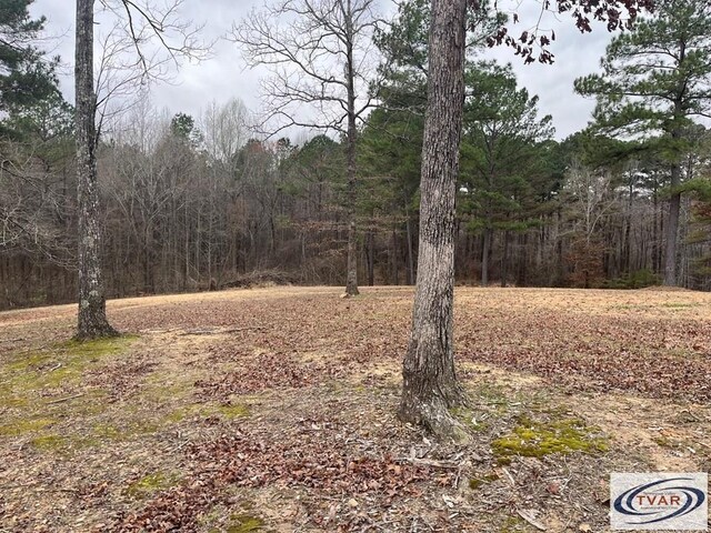 0 Catfish Dr, Buchanan, TN 38222 - photo 3