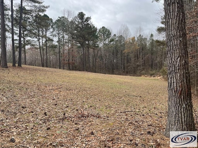 0 Catfish Dr, Buchanan, TN 38222 - photo 9