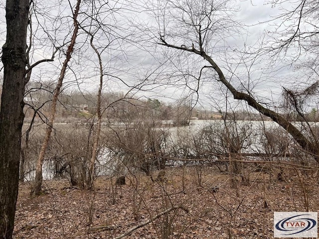 0 Catfish Dr, Buchanan, TN 38222 - photo 7