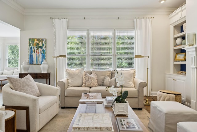 216 Bramerton Ct, Franklin, TN 37069 - living area with ornamental molding, light wood-style floors, and built in shelves