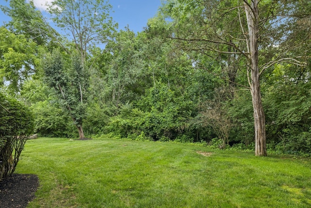 216 Bramerton Ct, Franklin, TN 37069 - view of grassy yard featuring a forest view
