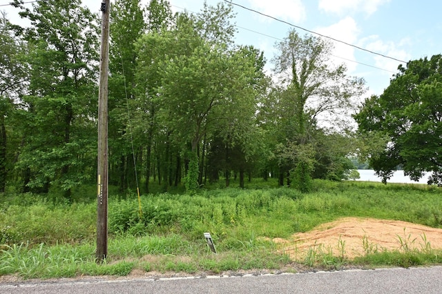 0 Toms Creek Rd, Linden, TN 37096