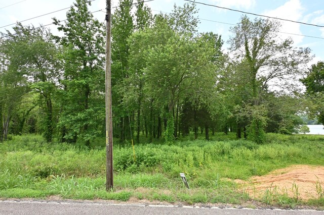 0 Toms Creek Rd, Linden, TN 37096