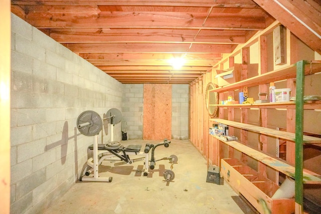 1094B Center Point Rd, Hendersonville, TN 37075 - workout room with concrete block wall