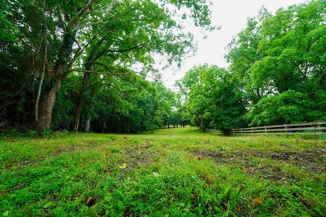 1094B Center Point Rd, Hendersonville, TN 37075 - view of yard with a view of trees