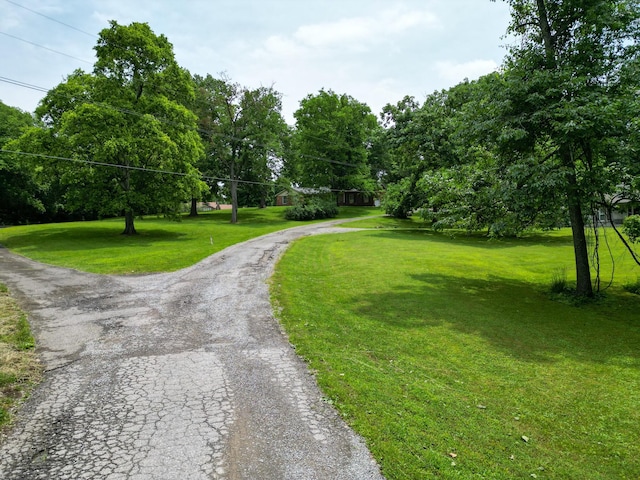 1094B Center Point Rd, Hendersonville, TN 37075 - view of asphalt driveway with view of wooded area