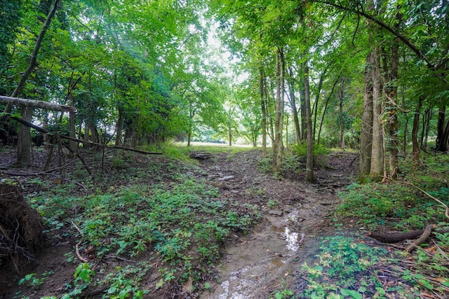 1094B Center Point Rd, Hendersonville, TN 37075 - view of woods