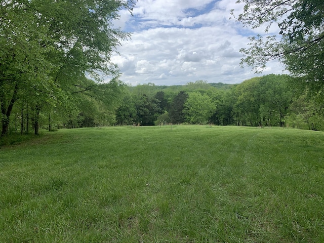 6816 Drumright Hills Ln, College Grove, TN 37046 - photo 1
