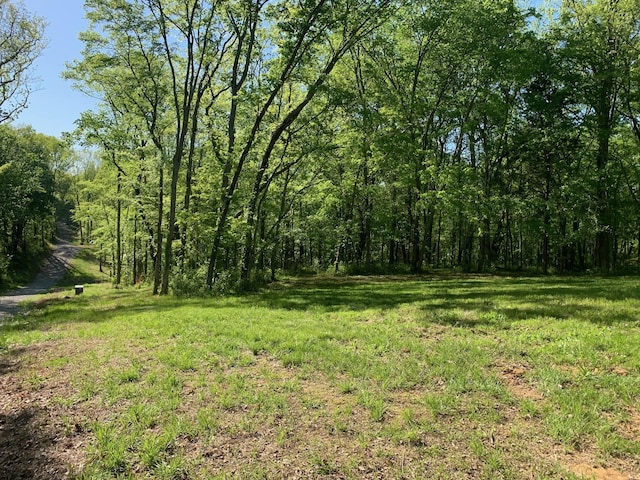 6816 Drumright Hills Ln, College Grove, TN 37046 - photo 19