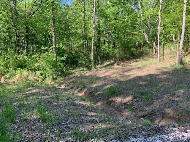 6816 Drumright Hills Ln, College Grove, TN 37046 - photo 20