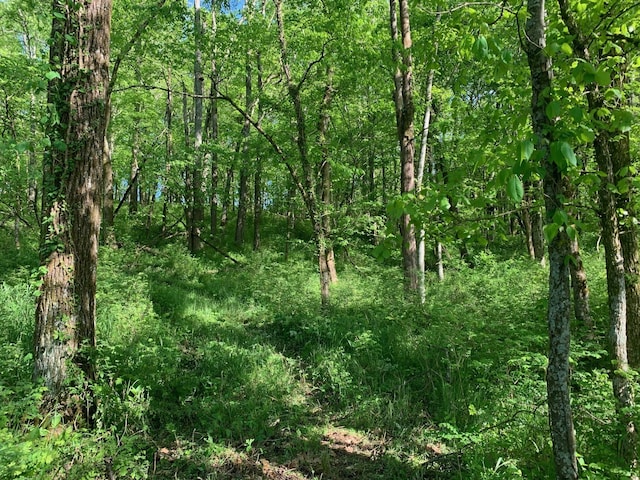 6816 Drumright Hills Ln, College Grove, TN 37046 - photo 16
