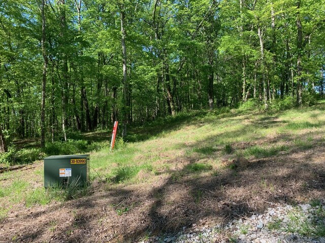 6816 Drumright Hills Ln, College Grove, TN 37046 - photo 8