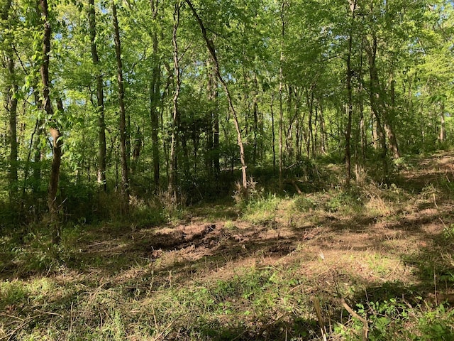 6816 Drumright Hills Ln, College Grove, TN 37046 - photo 18